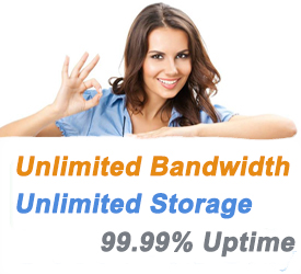 Website design and hosting
